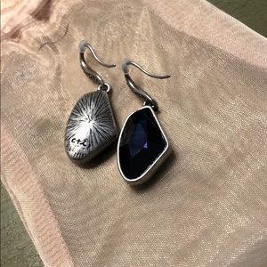 Navy blue Drop Earrings